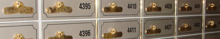 head-image